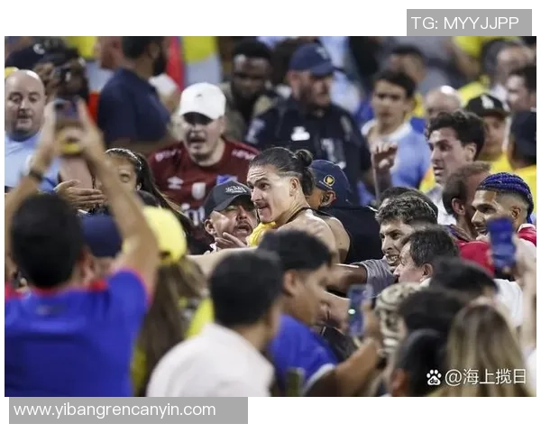 乌拉圭足球球星太太背后的故事与成就揭秘